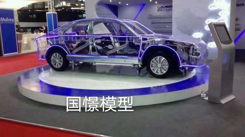 郓城县透明车模型